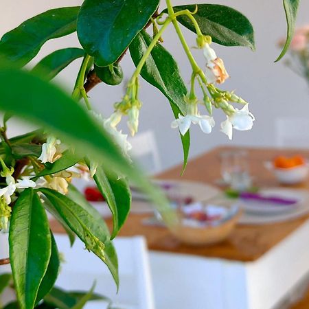 Corte Mercurio B&B 우겐토 외부 사진